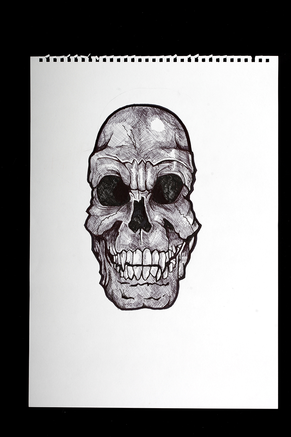 Skull in ink