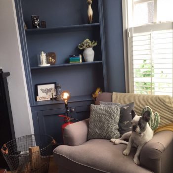 shelves painted in eggshell finish