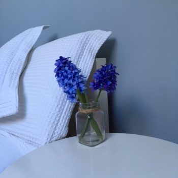 Blue Hyacinth Room